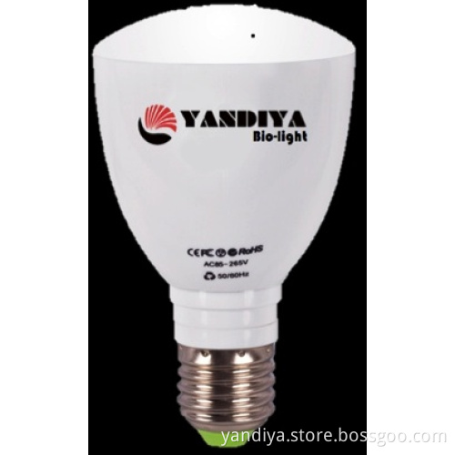 Standard Rechargeable LED Bulb
